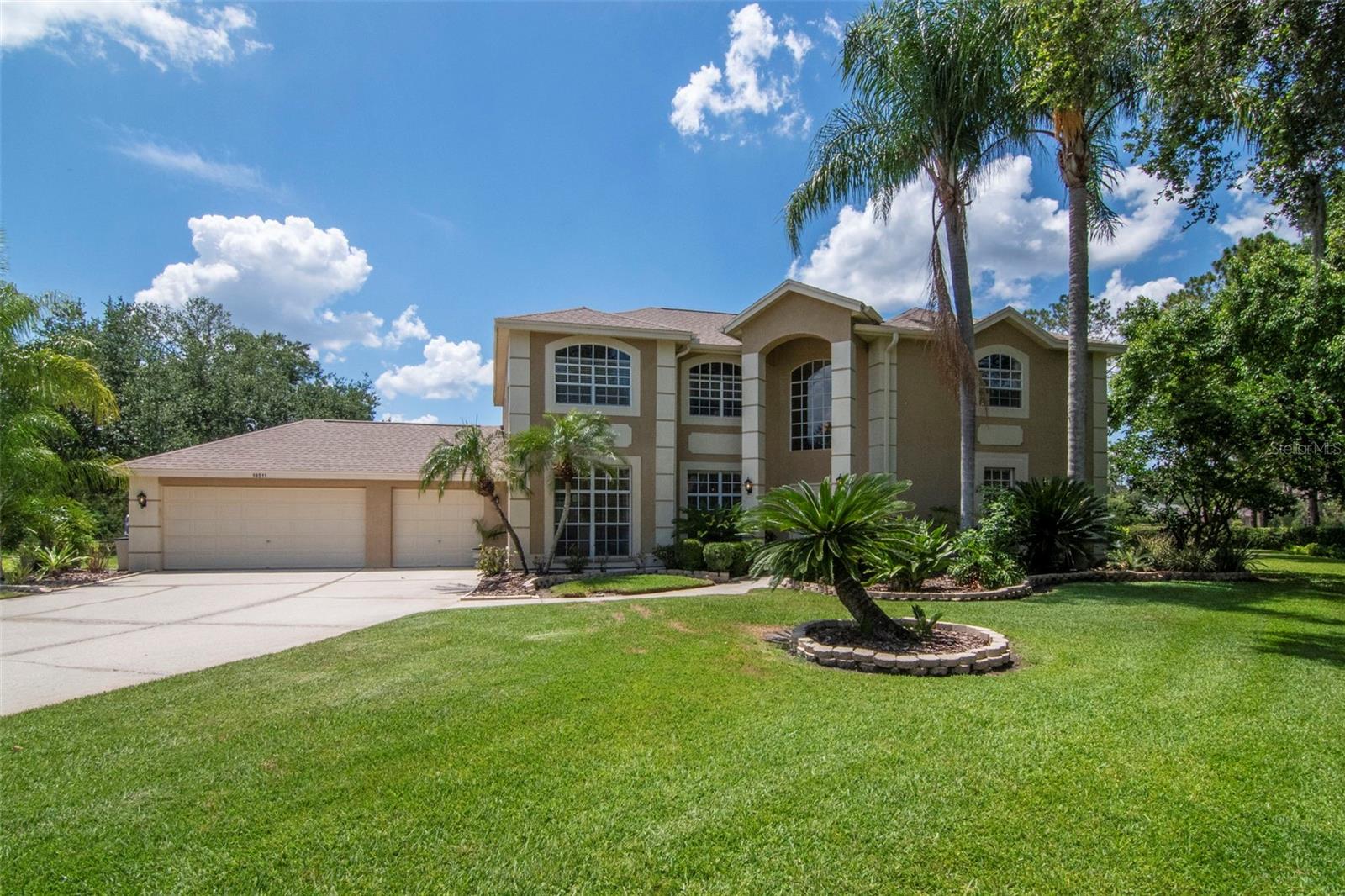 Curb Appeal with Driveway