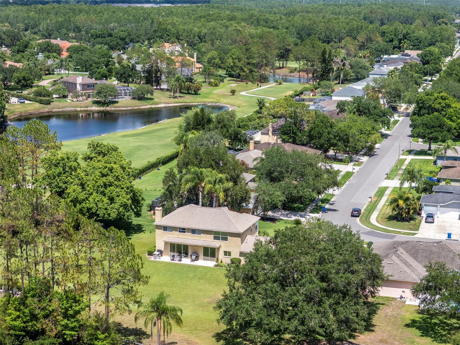 Aerial View of Backyard & Home