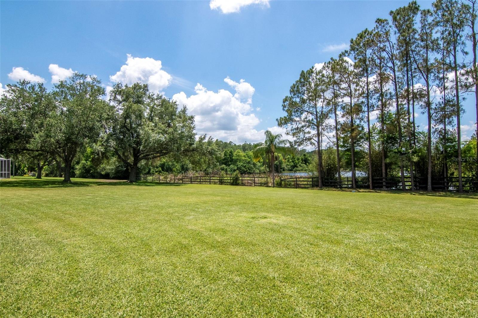 Expansive Backyard View