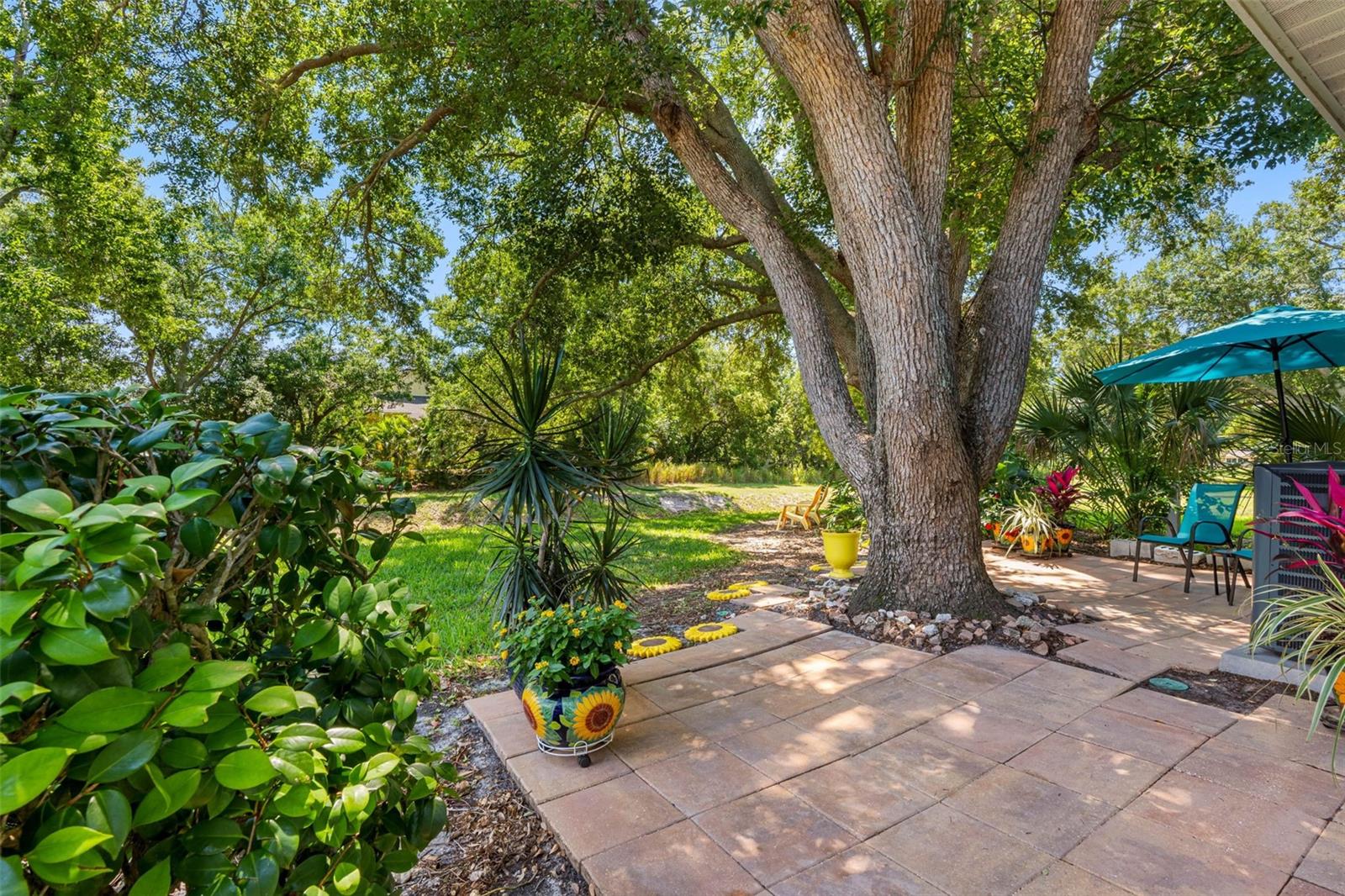 Paver Side Patio