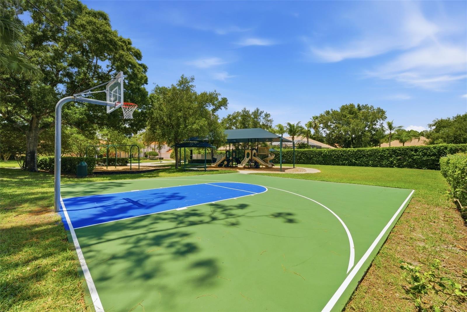 1/2 basketball court exclusively for Tree Tops residents