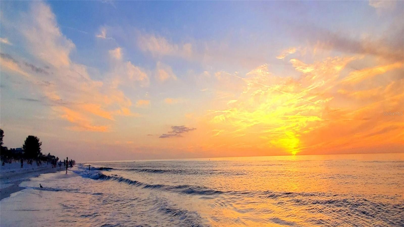 TB8510194