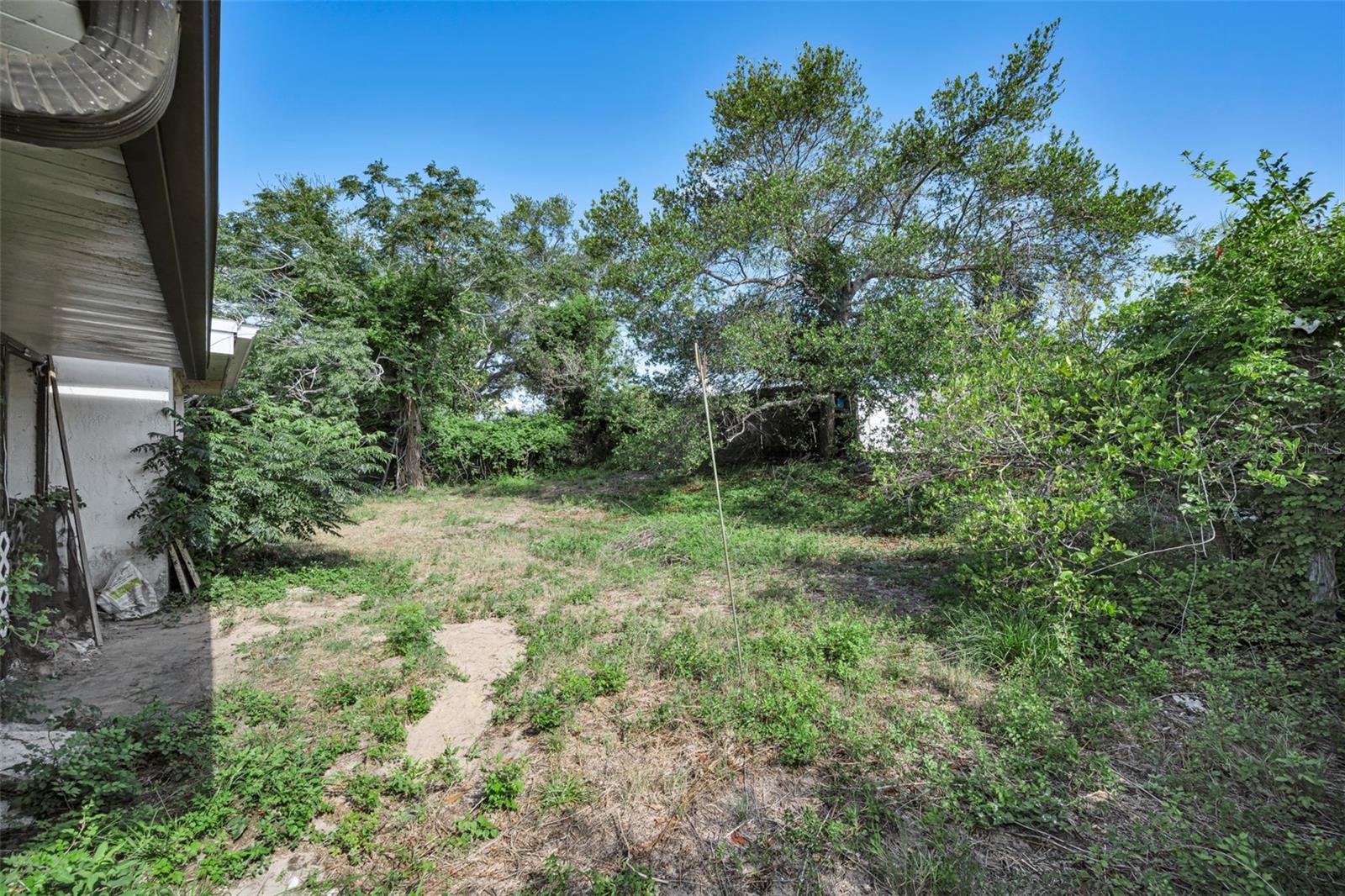 Backyard