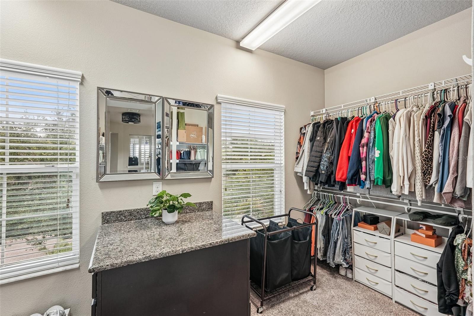 Primary closet