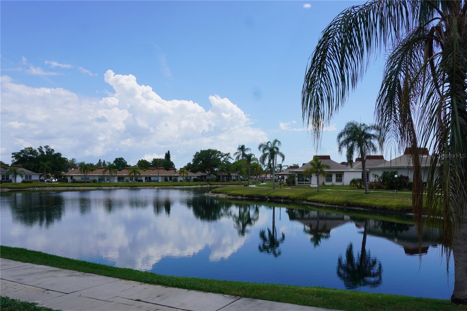 View From Patio