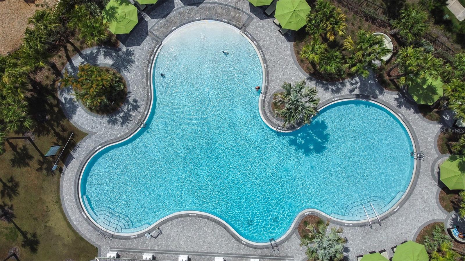 Resort Style Pool