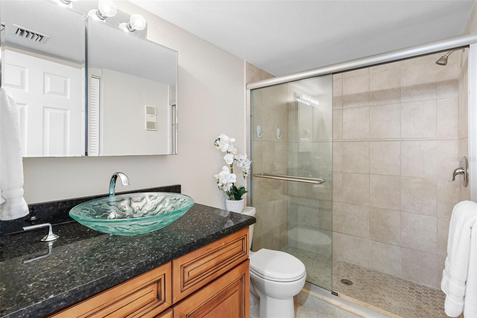 2nd Bath, New fixtures and workings