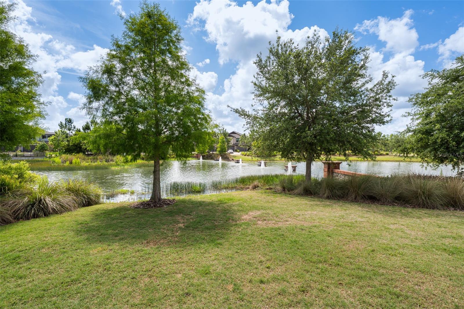Tree lined area
