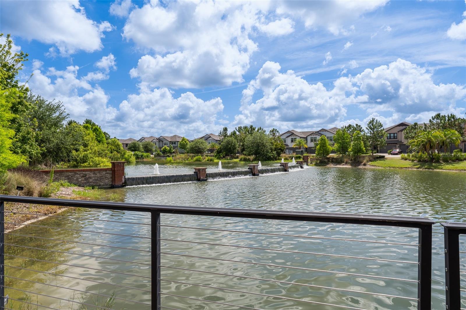 Beautiful pond