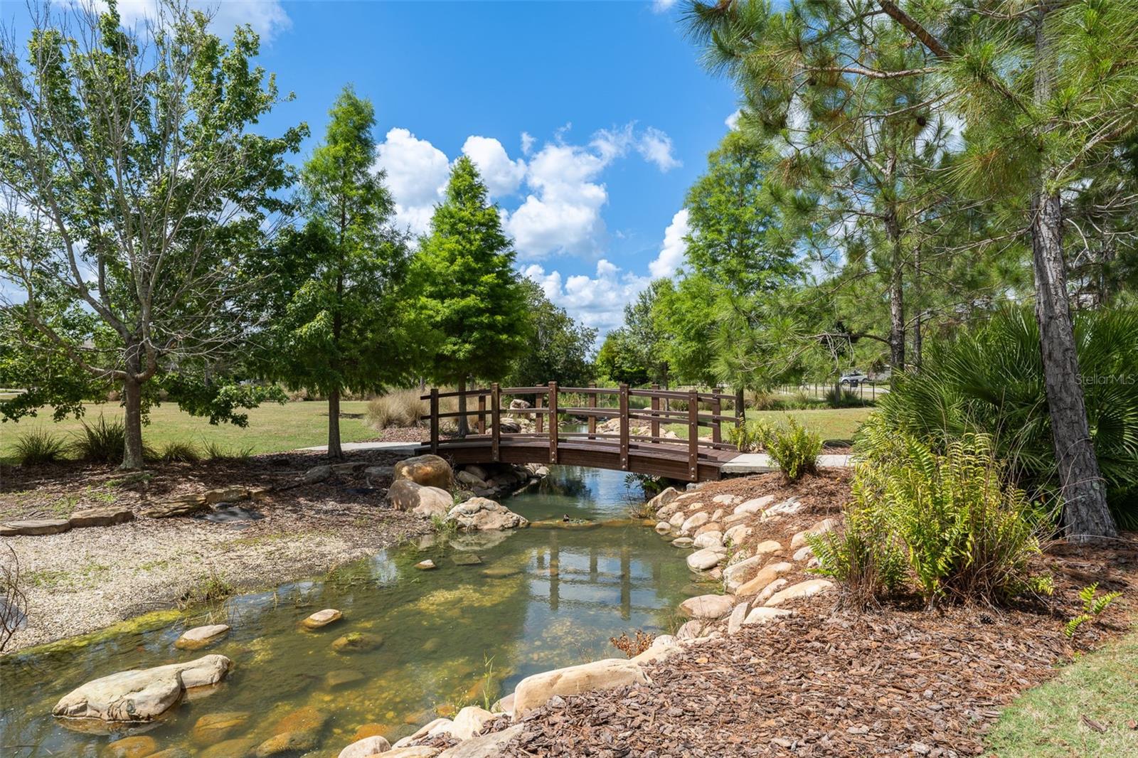 Pond with park surrounding