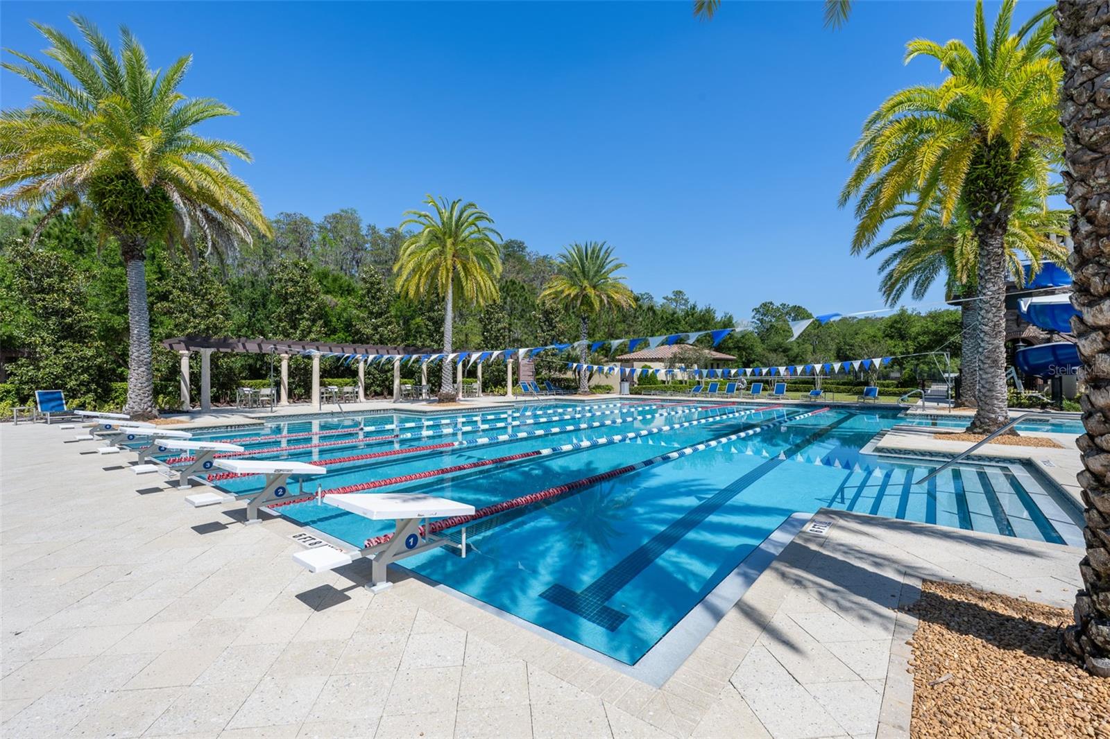 Lane pool with diving boards