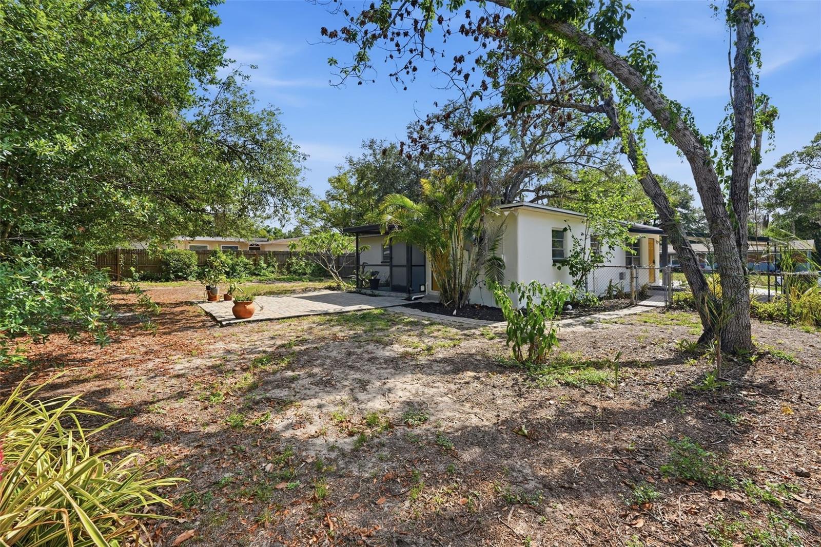 Backyard