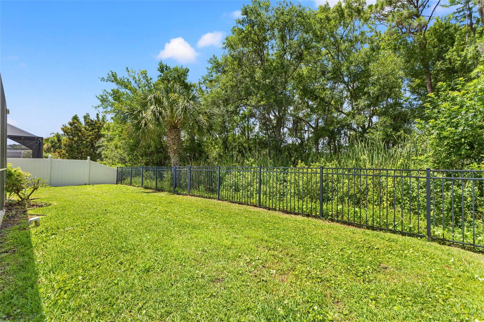 Large backyard