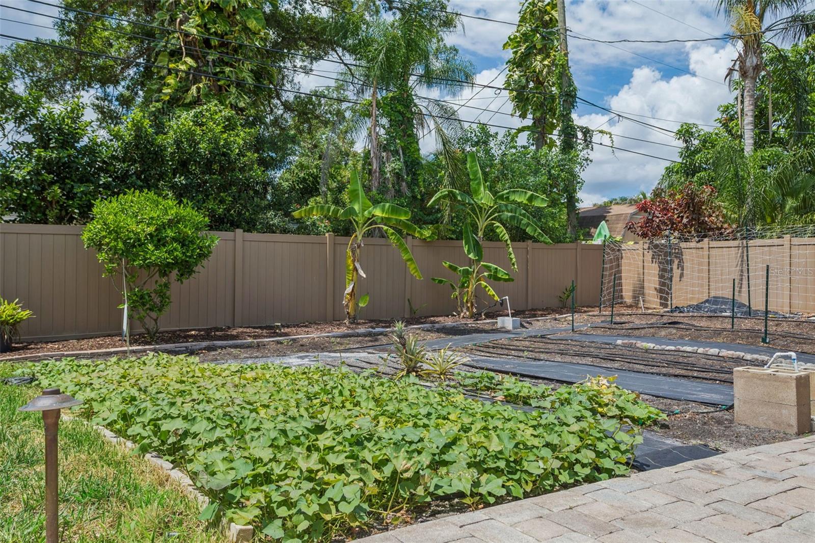 Current garden