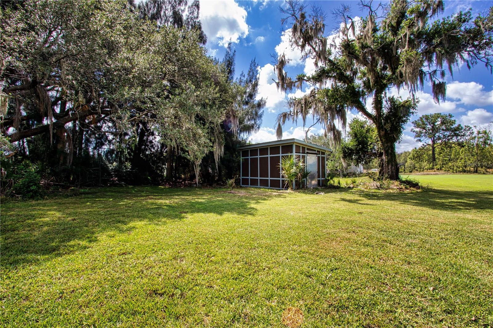 view of the expansive back yard