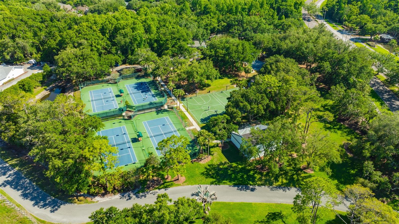 Tampa Palms community tennis and basketball courts.