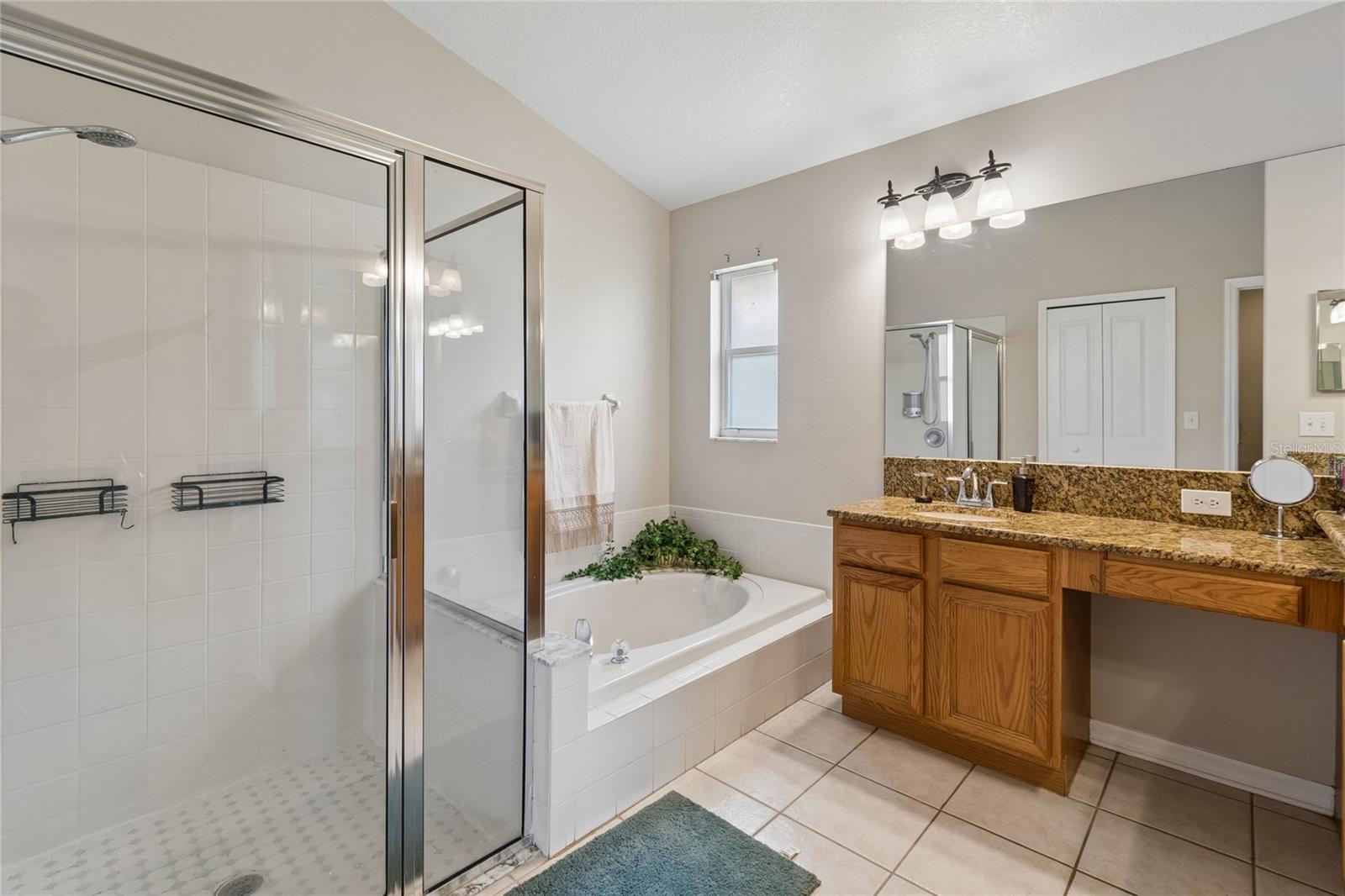 Primary Shower and Garden Tub