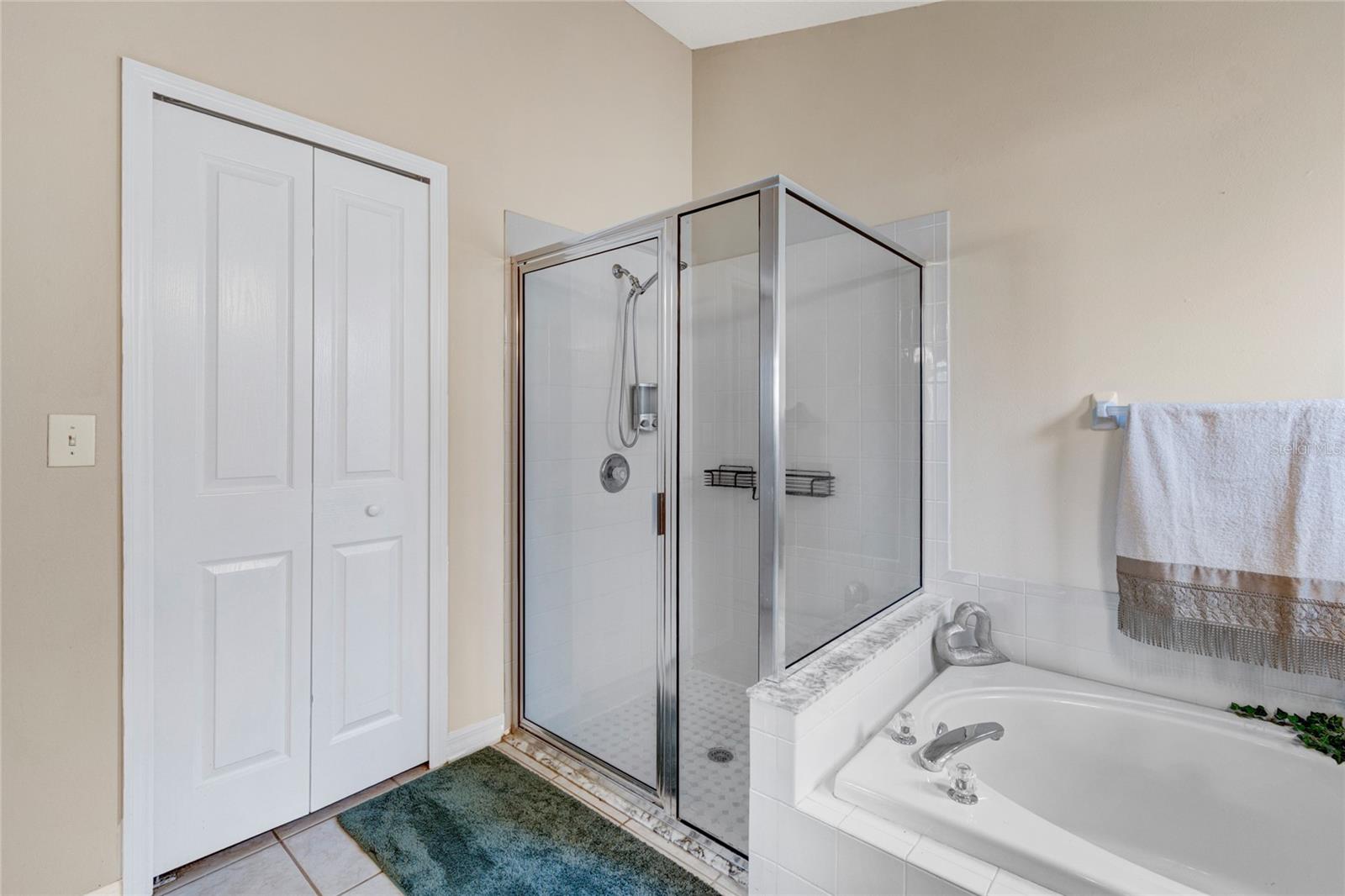 Primary Shower and Garden Tub