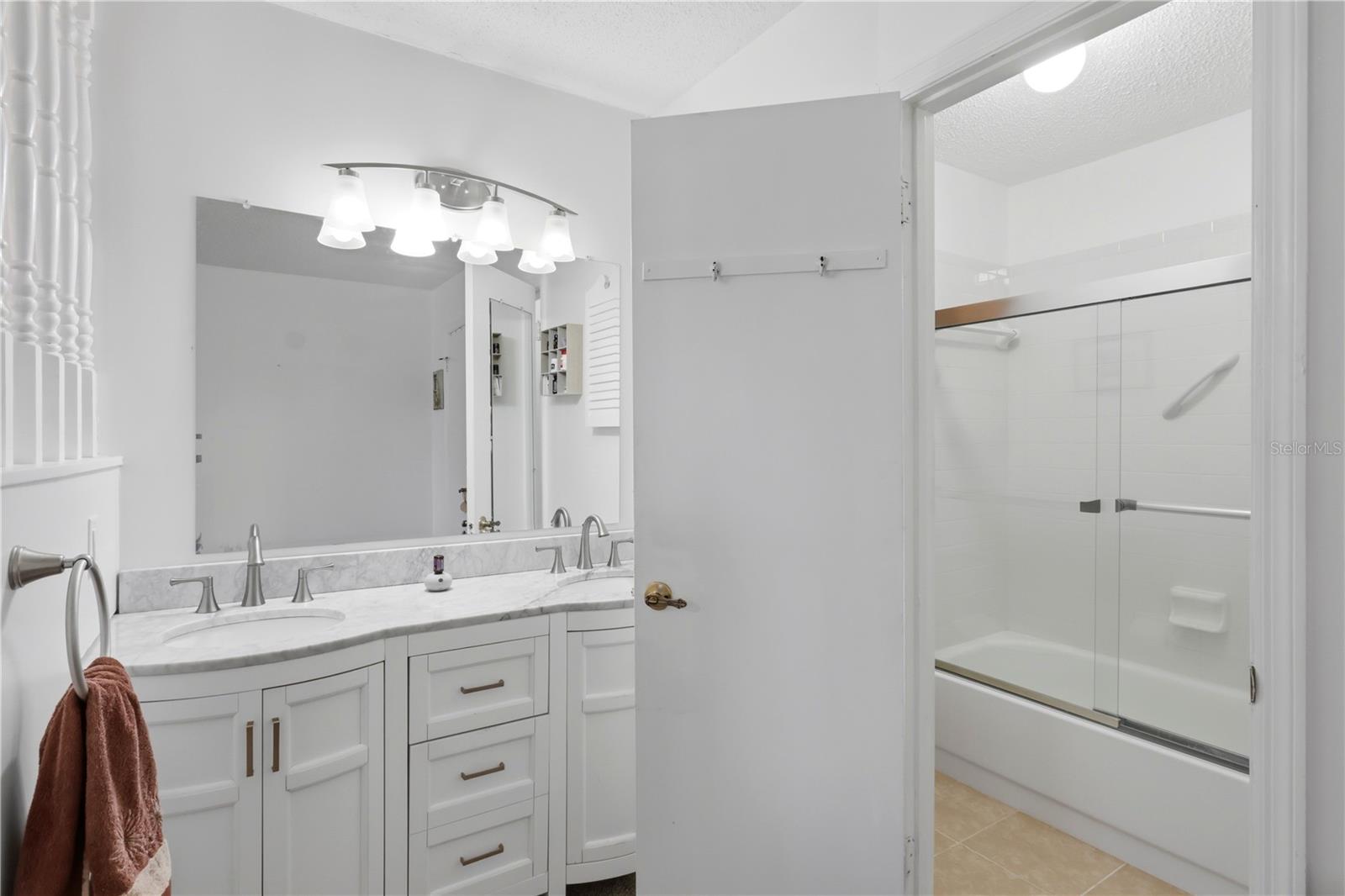 Master Bathroom area