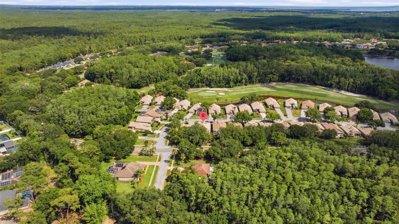 EAST LAKE WOODLANDS IS A HIGHLY DESIRED NEIGHBORHOOD OFFERING OPTIONAL GOLF MEMBERSHIP