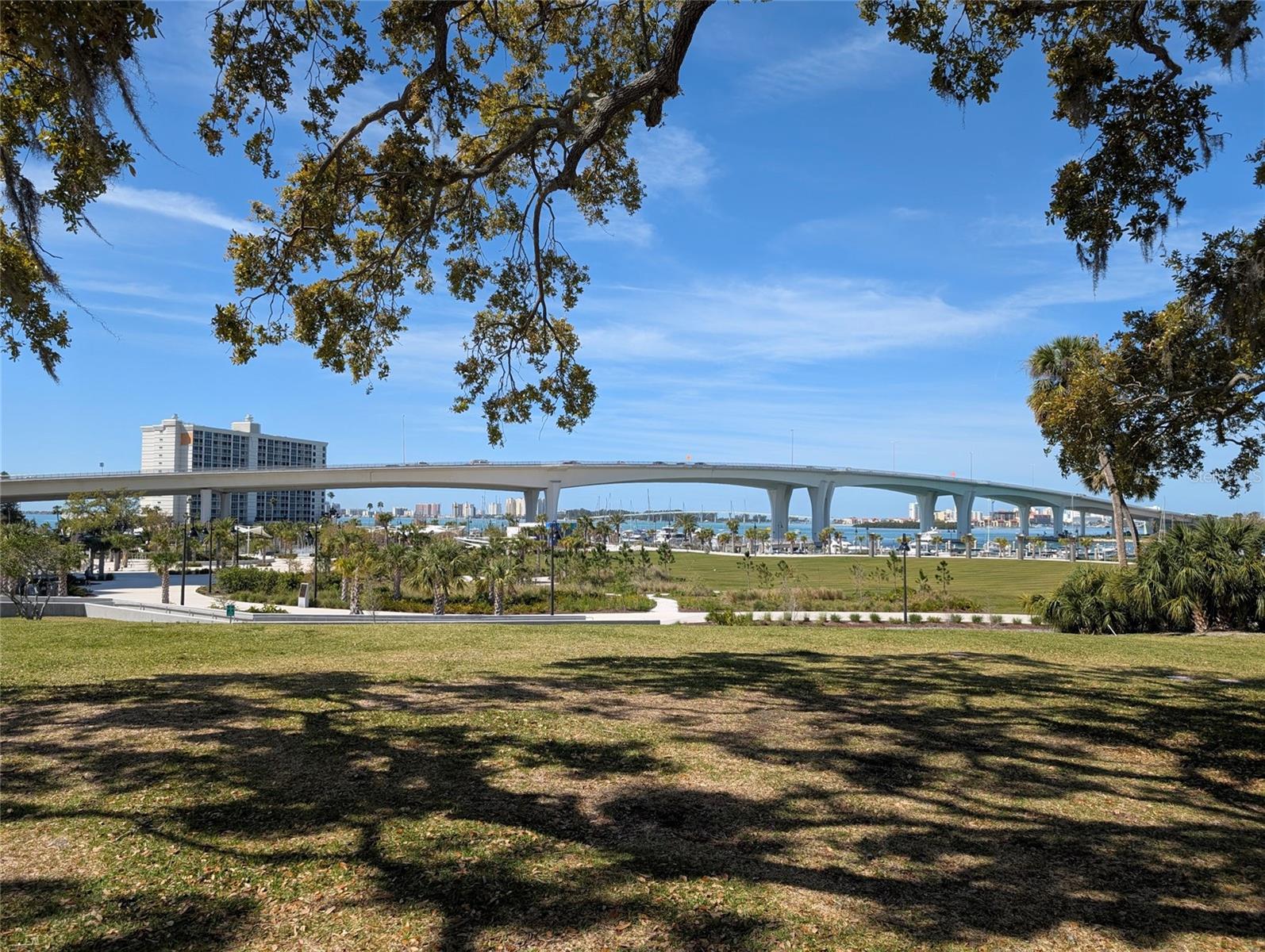 Lots of green space in Coachman Park!