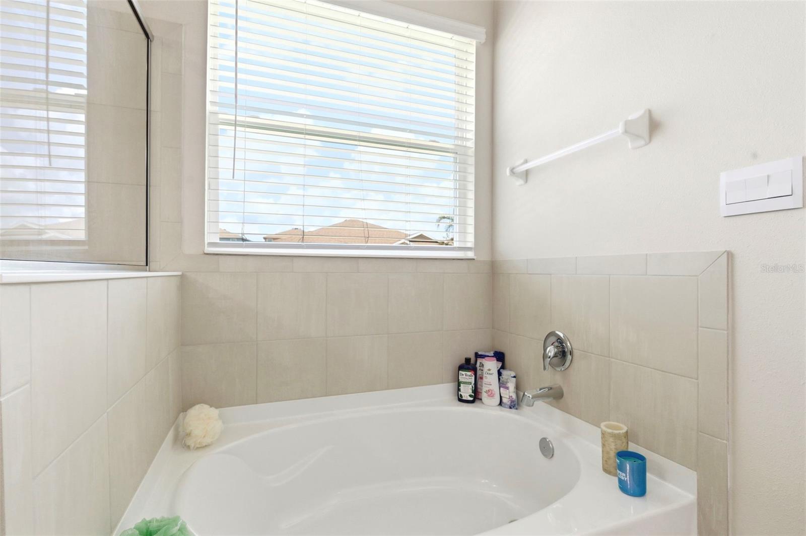 Garden tub with Natural light