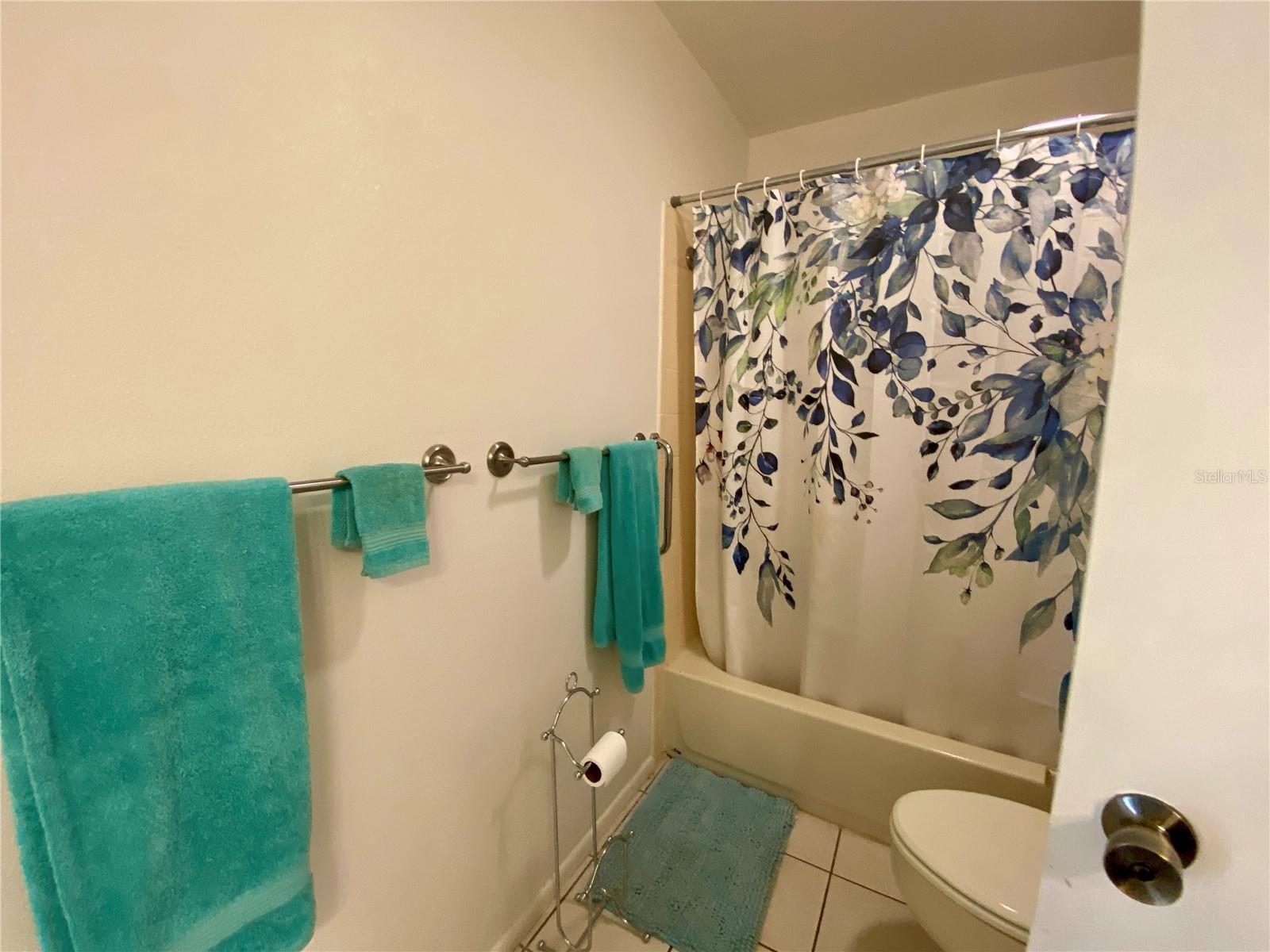 Tub with Shower