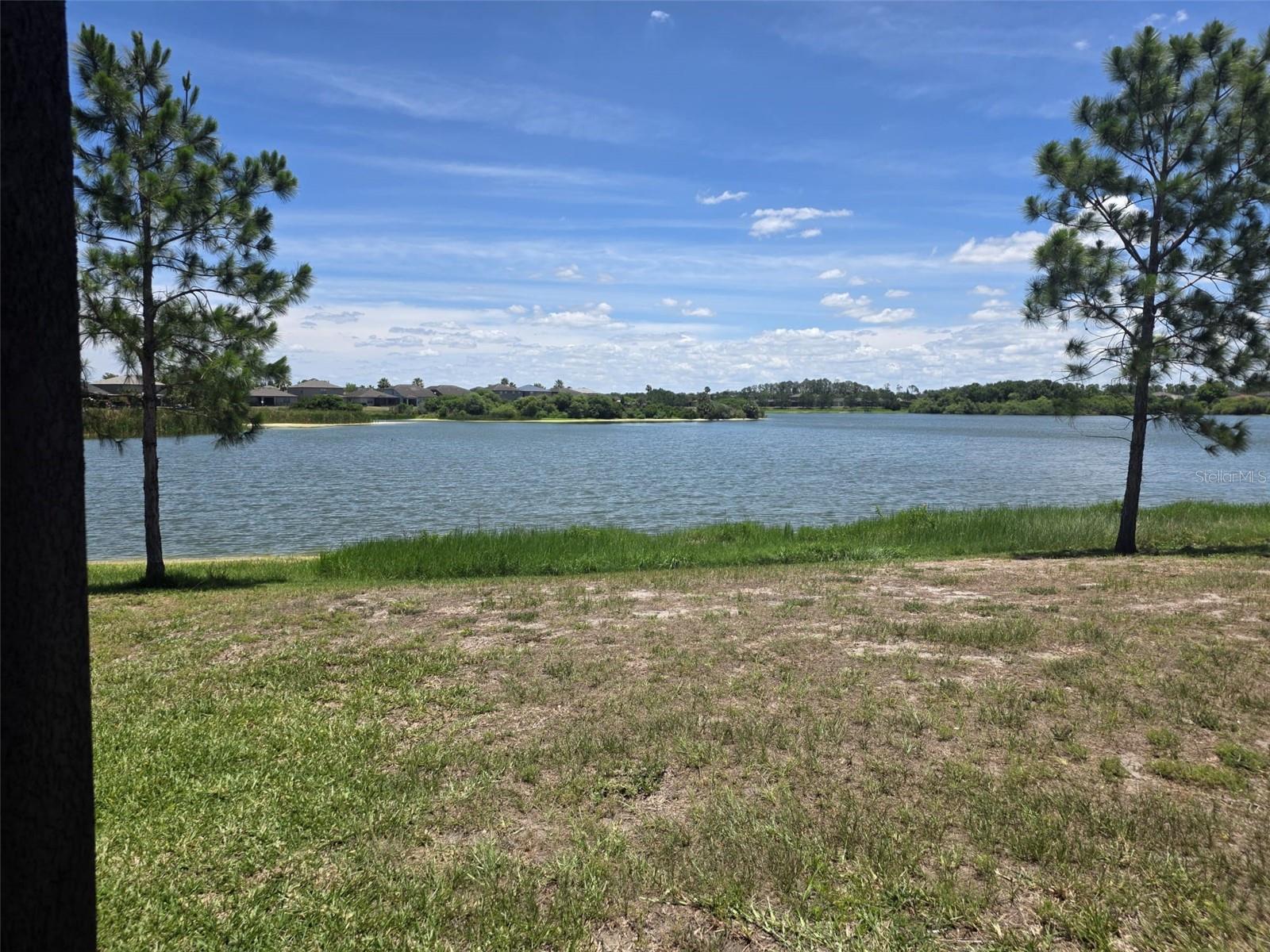 Backyard view