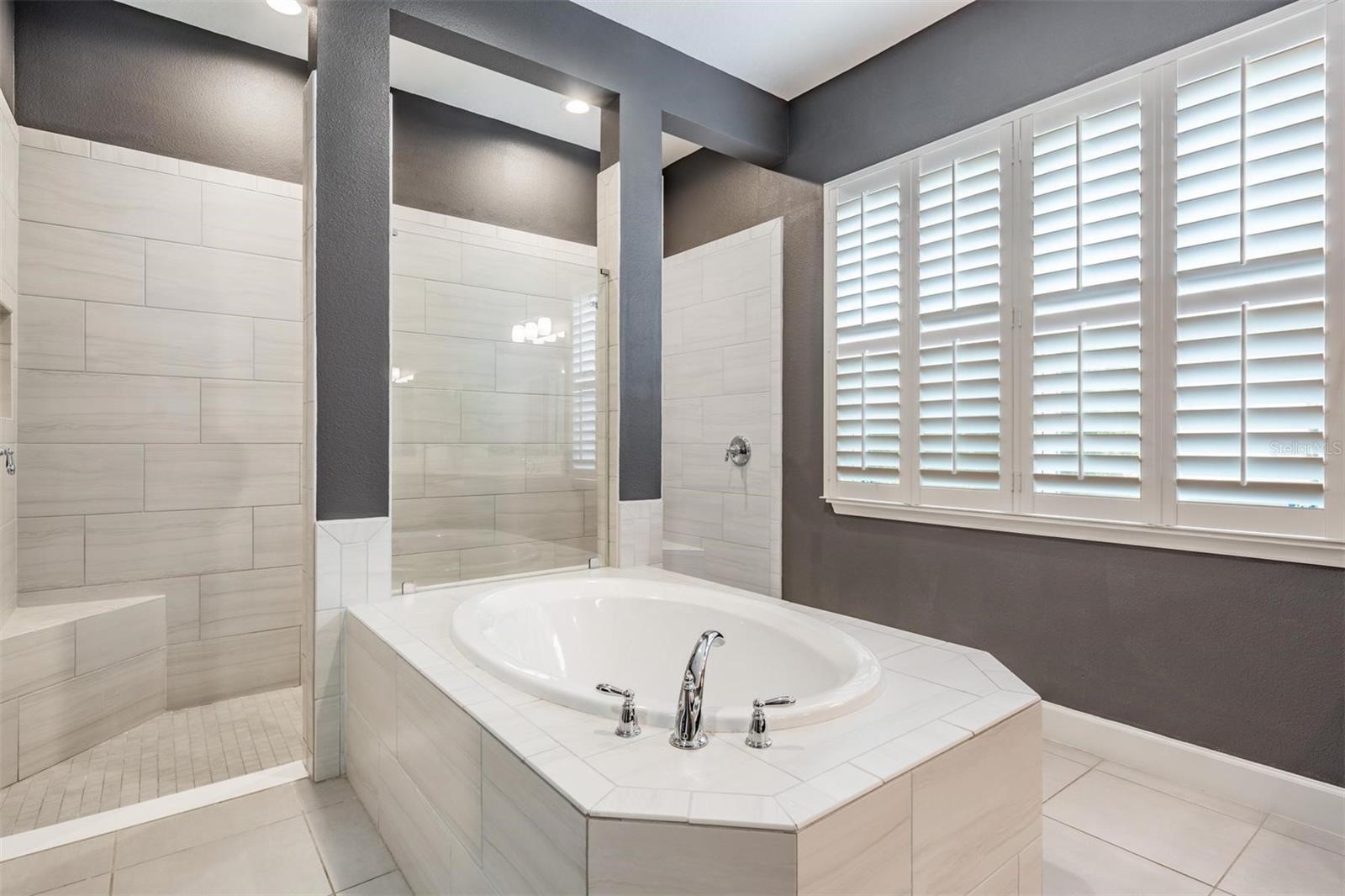 A truly oversized shower with soaking tub