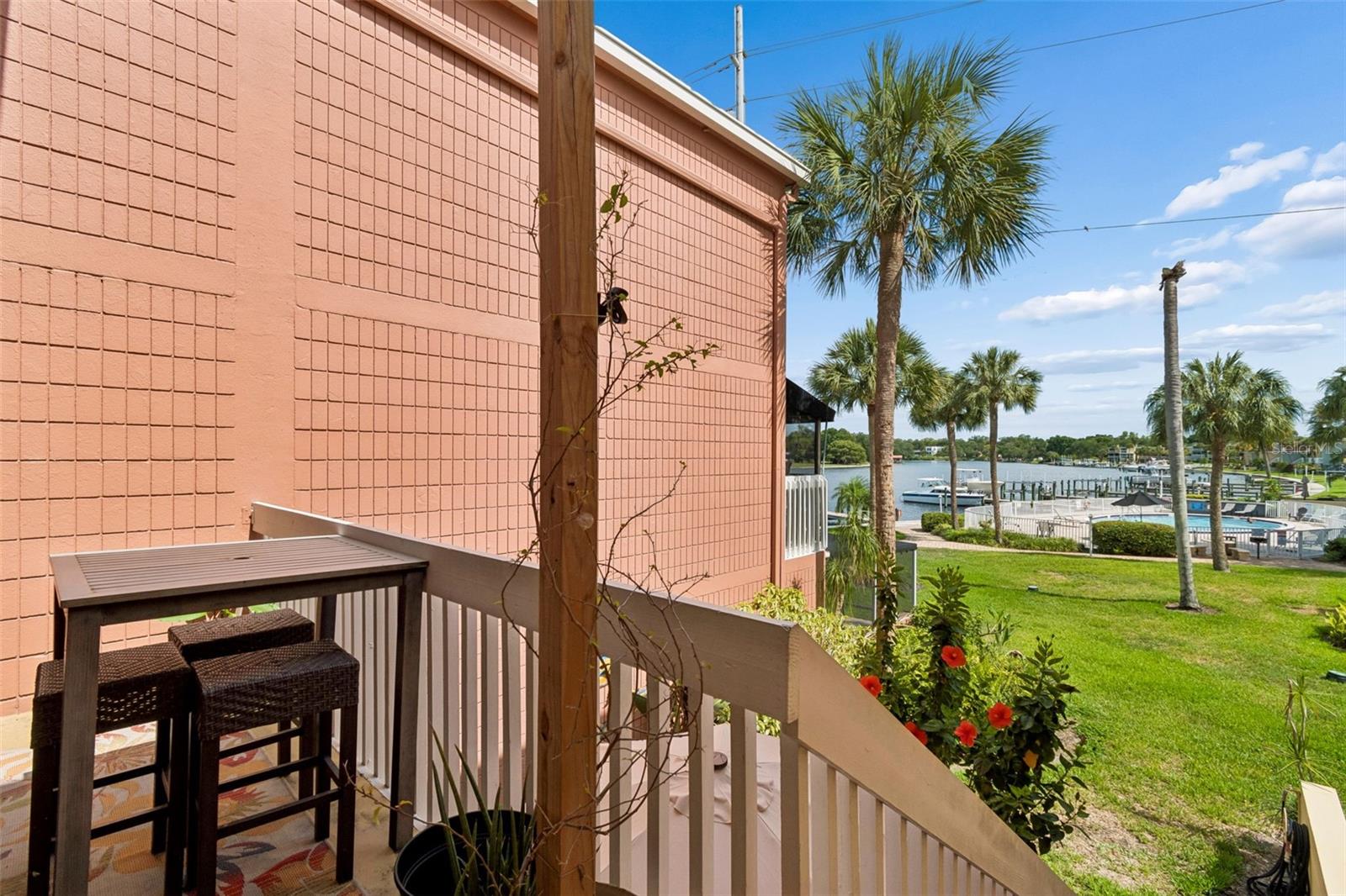 back deck view