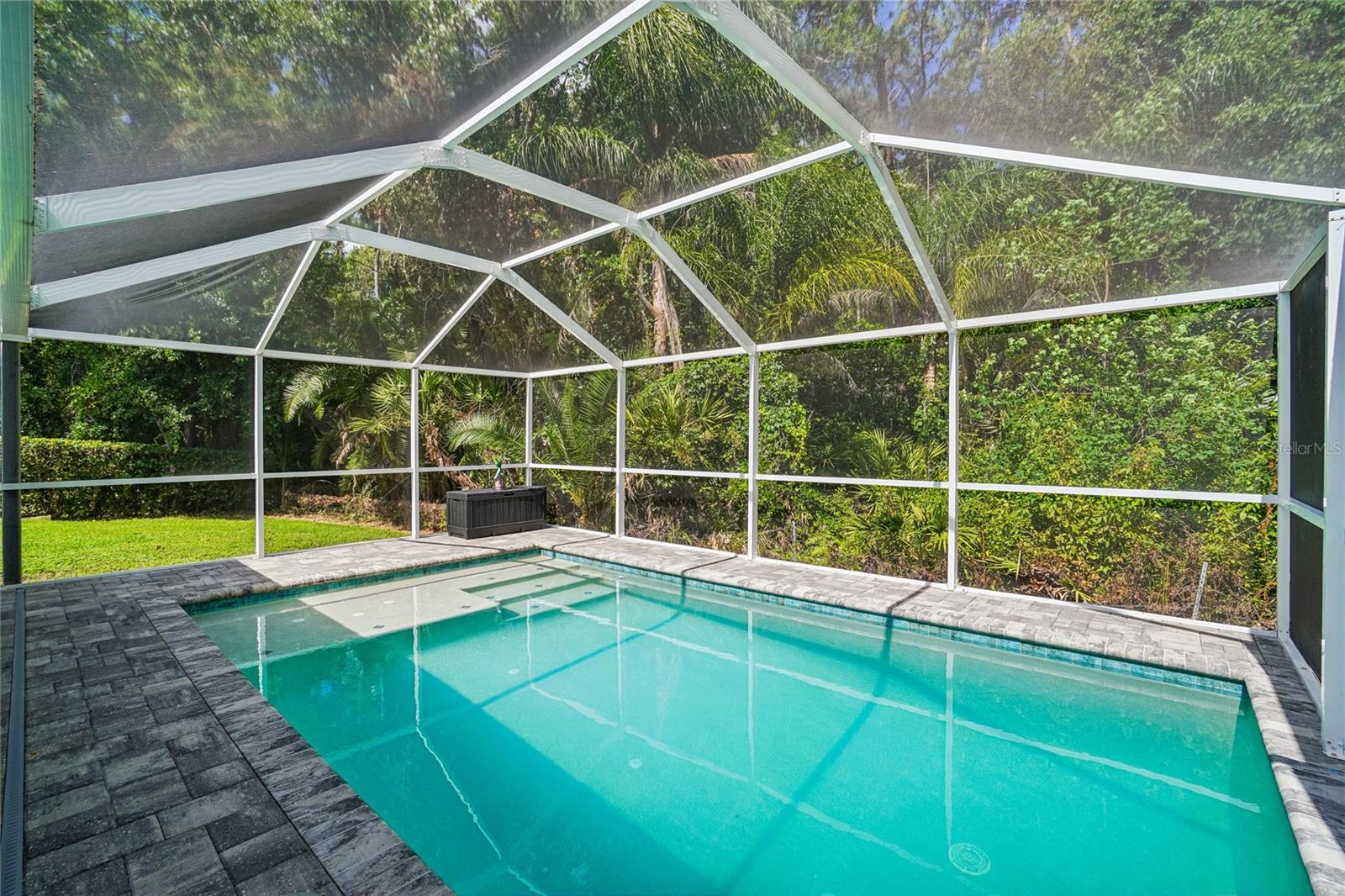 Pool / screened enclosure — In-ground salt water pool with pavered pool deck enclosed within a full-height screen enclosure. Conservation views of mature palms and natural tree canopy surround the rear of the property.