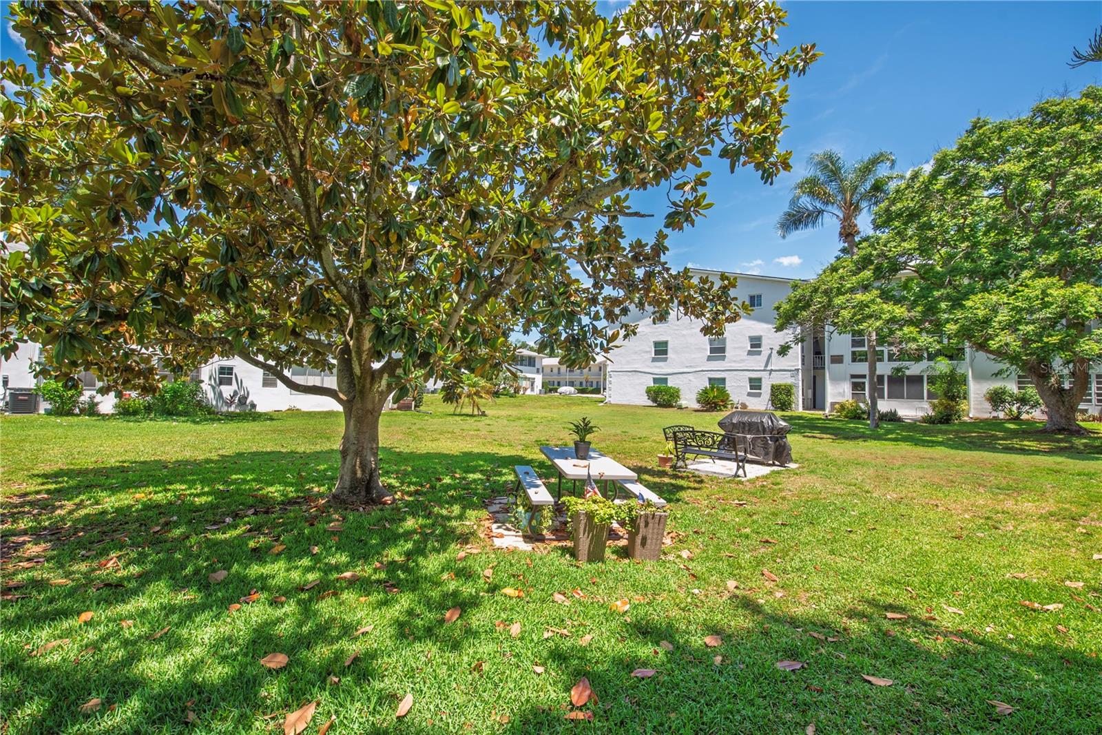 Community BBQ and picnic area.