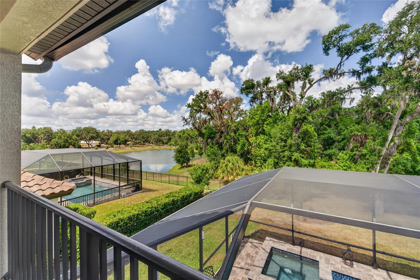 A fantastic view of the pond.