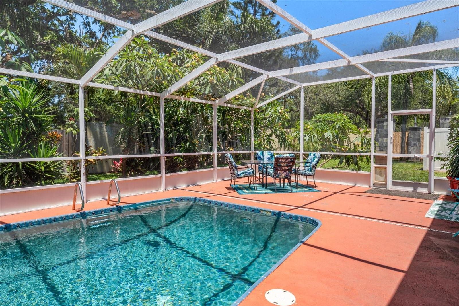 Pool View and Outdoor Dining Table