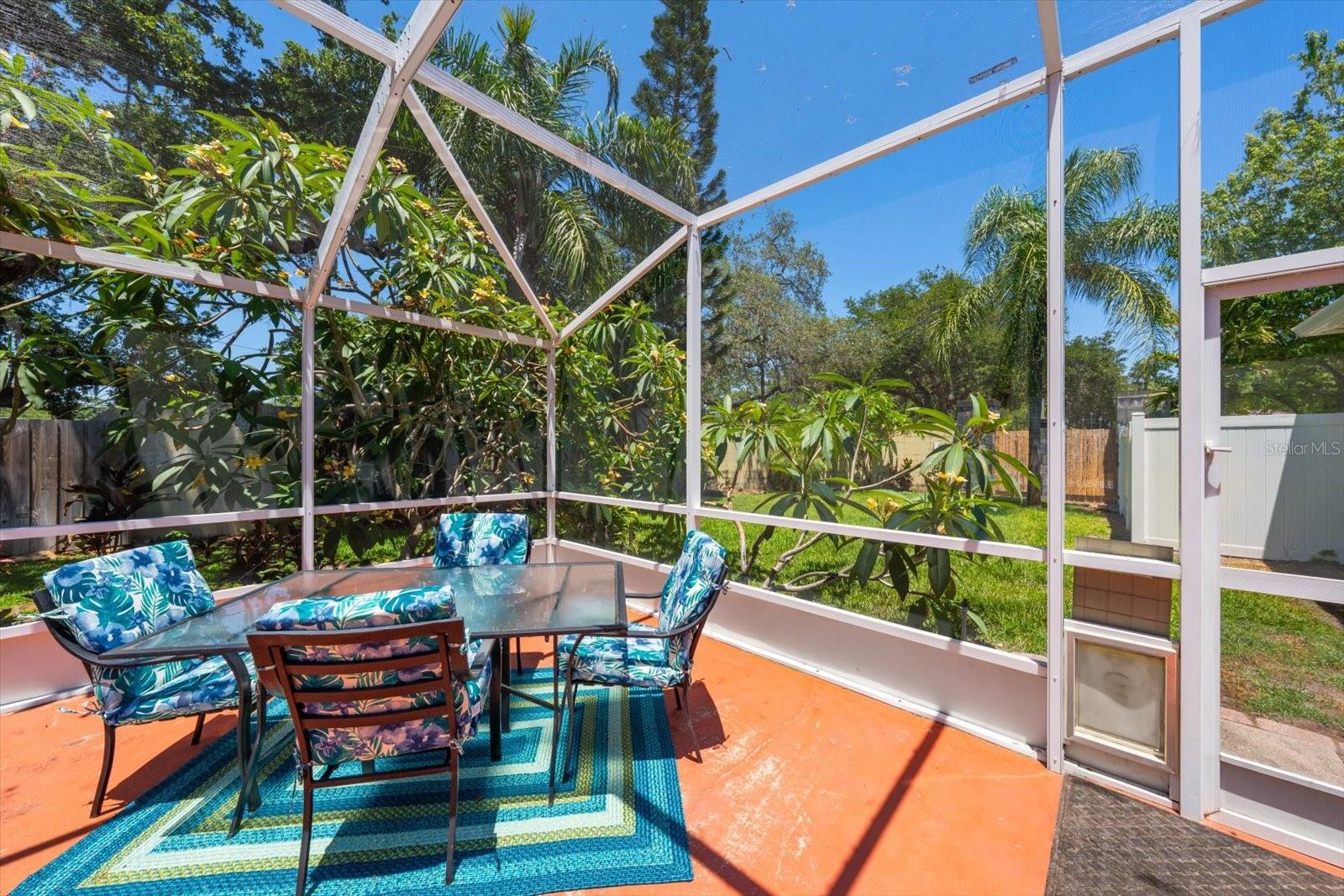 Outdoor Dining Table with View of Yard