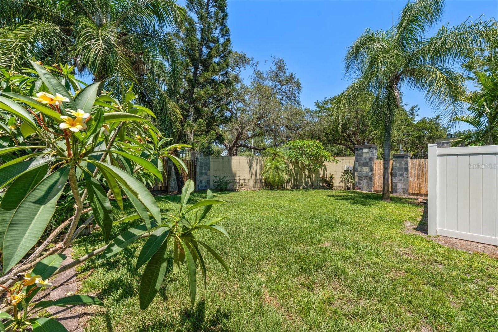 Outdoor Yard Area outside of Covered Pool