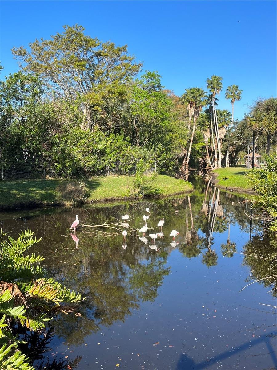 IBIS PARK ONLY 3 BLOCKS AWAY.