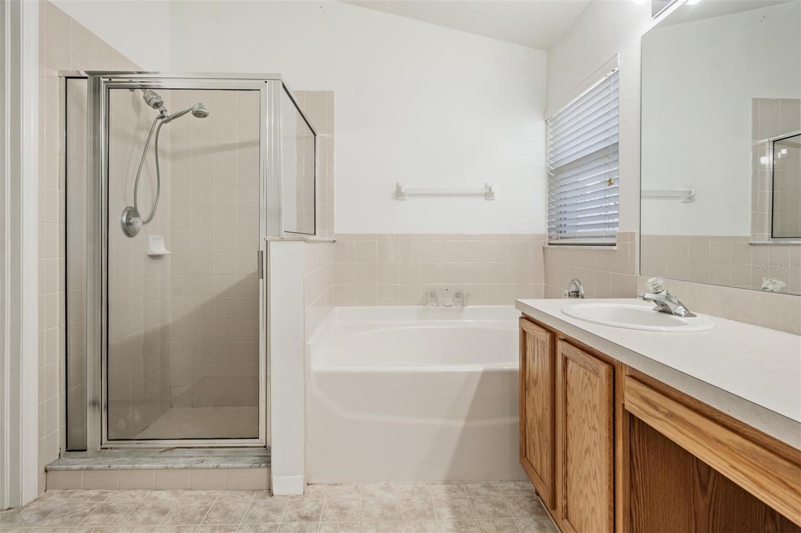 Master bath shower and soaking tub