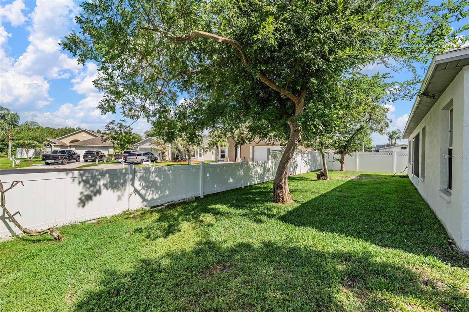 Backyard
