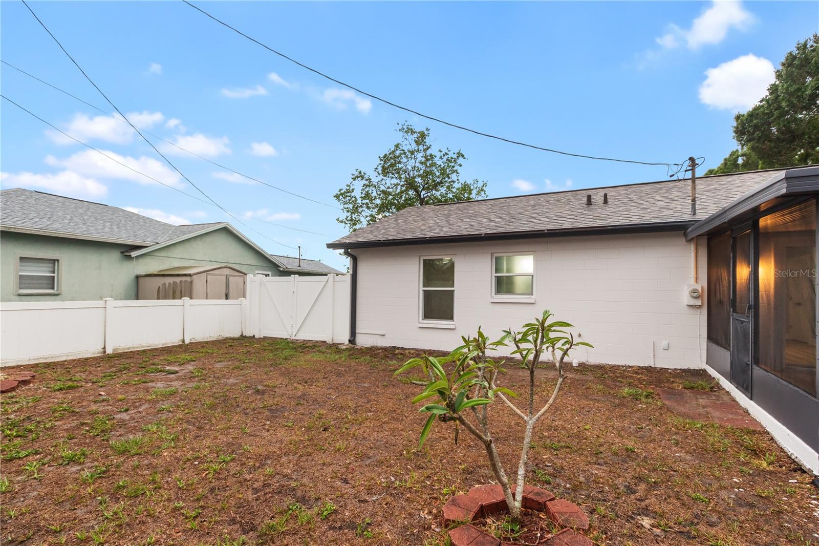 Large Backyard