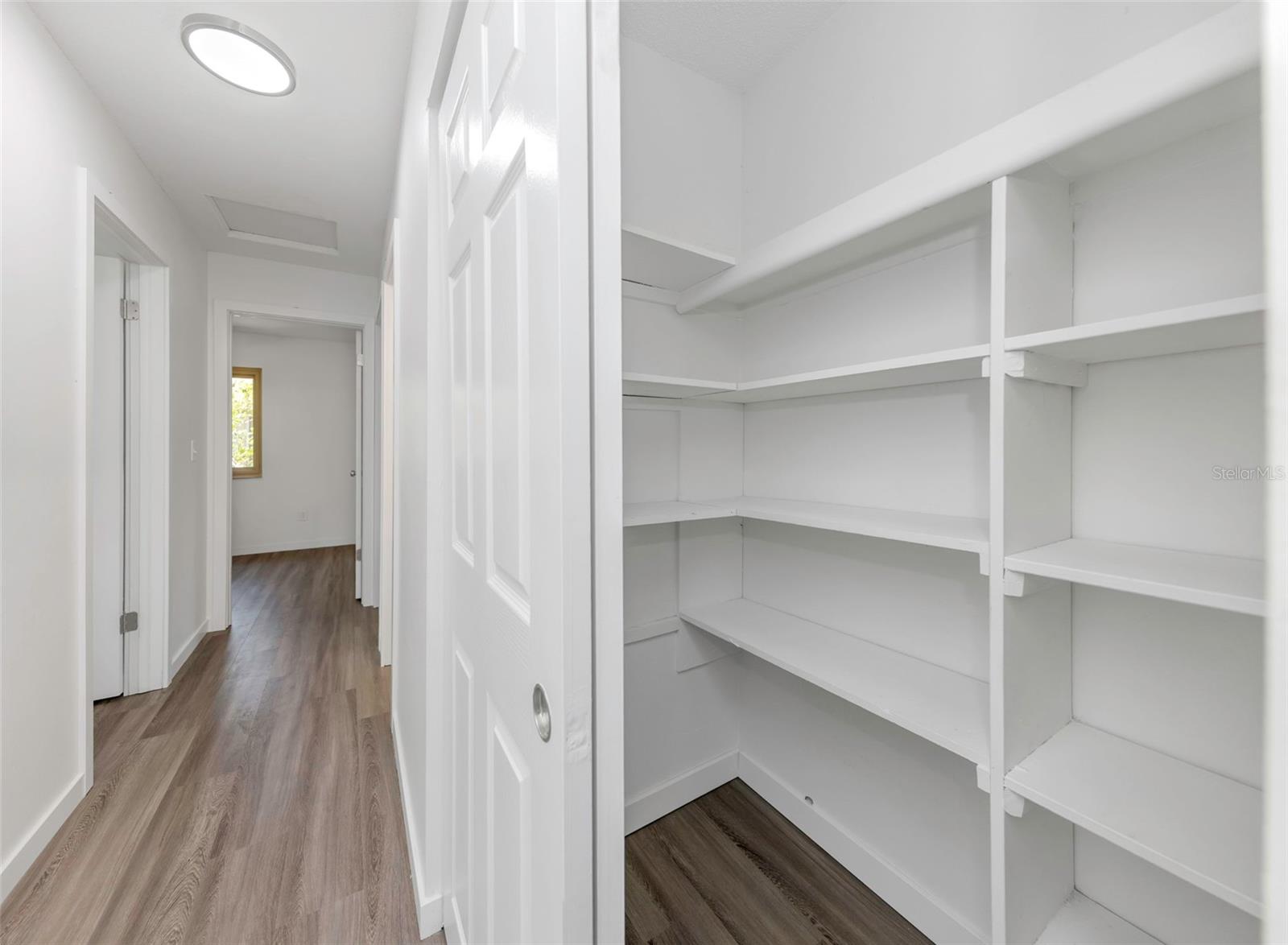 Kitchen closet pantry