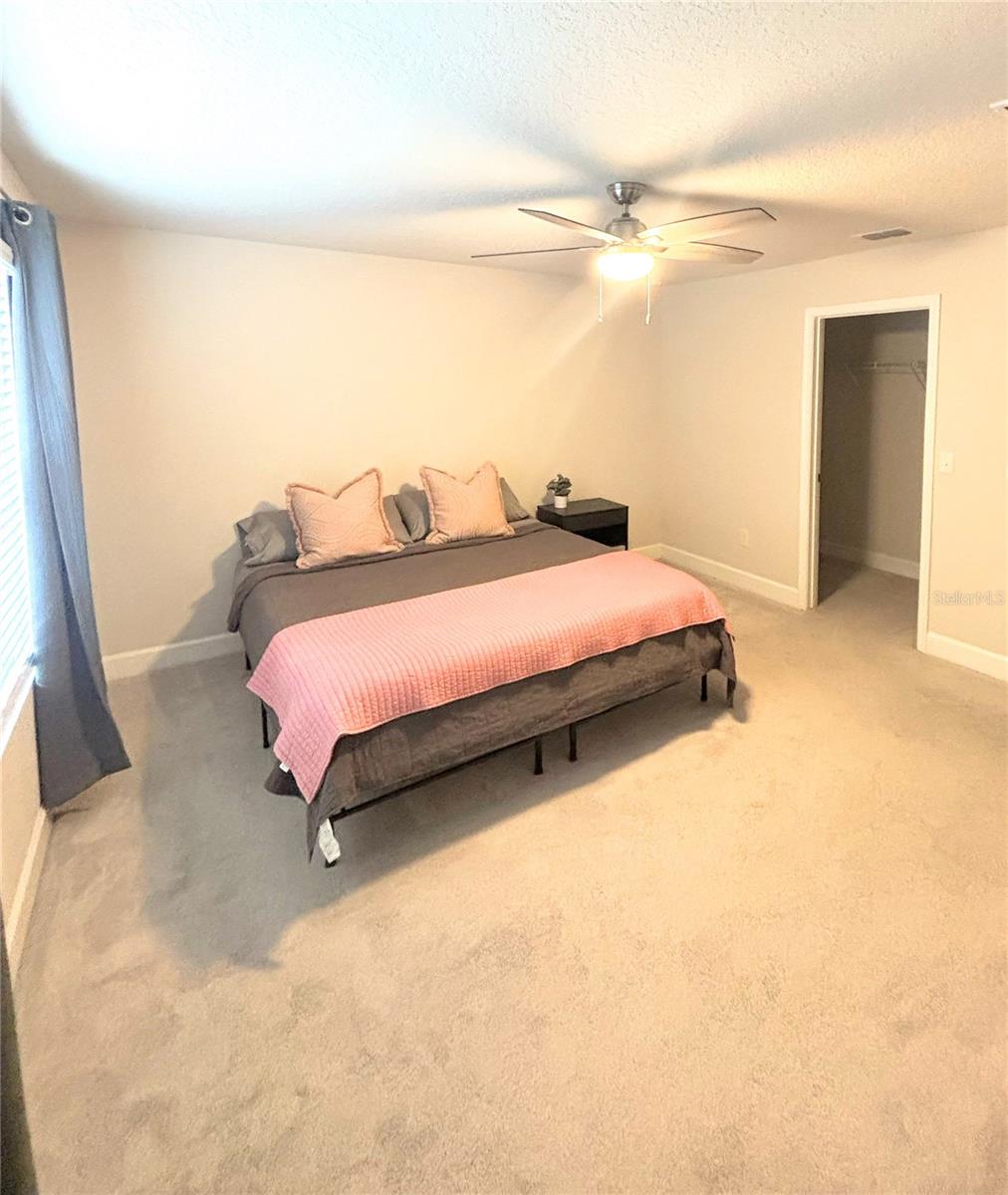 Primary Bedroom (with King-sized bed)