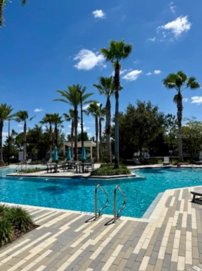 Resort Style Pool