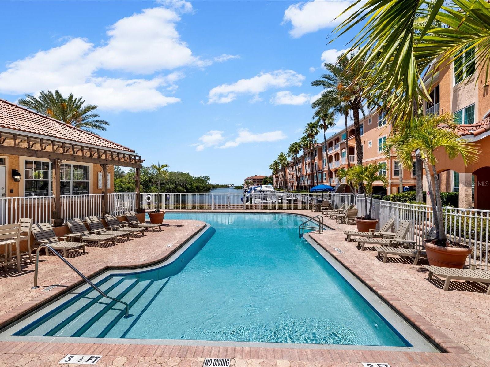 Stunning pool overlooking Tampa Bay