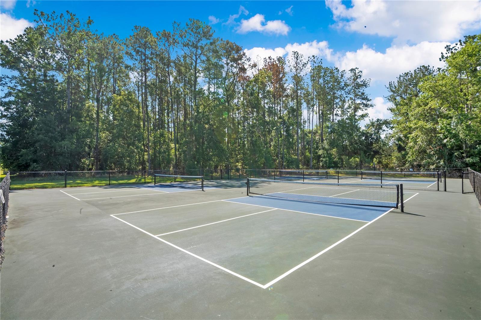 Community tennis courts, pickleball courts.