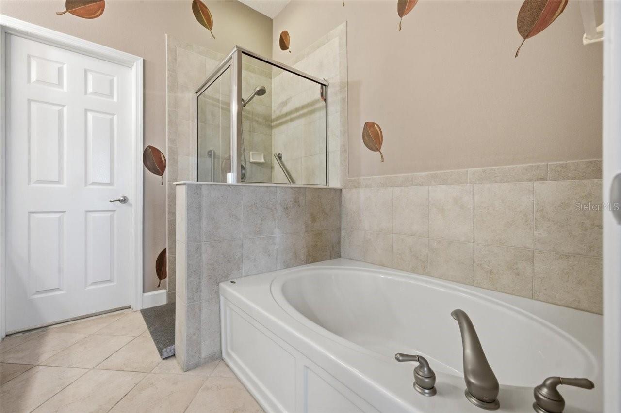 Primary bathroom with view of walk in closet