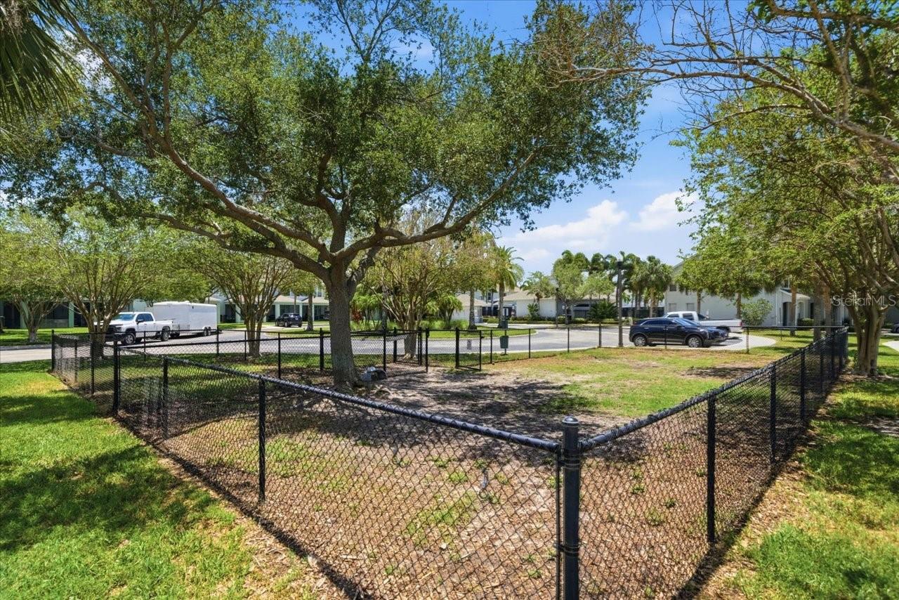 Dog run