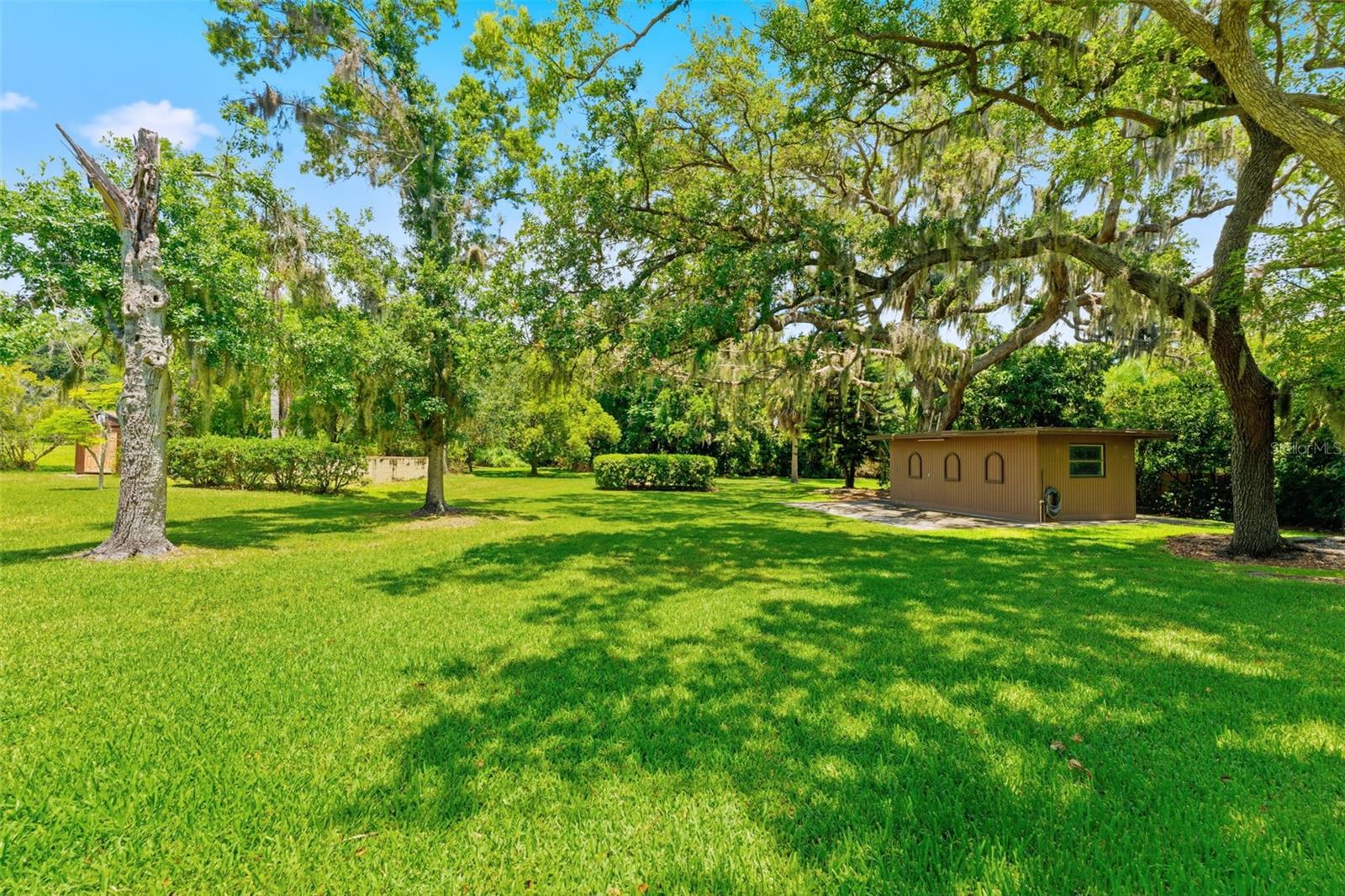 Expansive Backyard with Shed