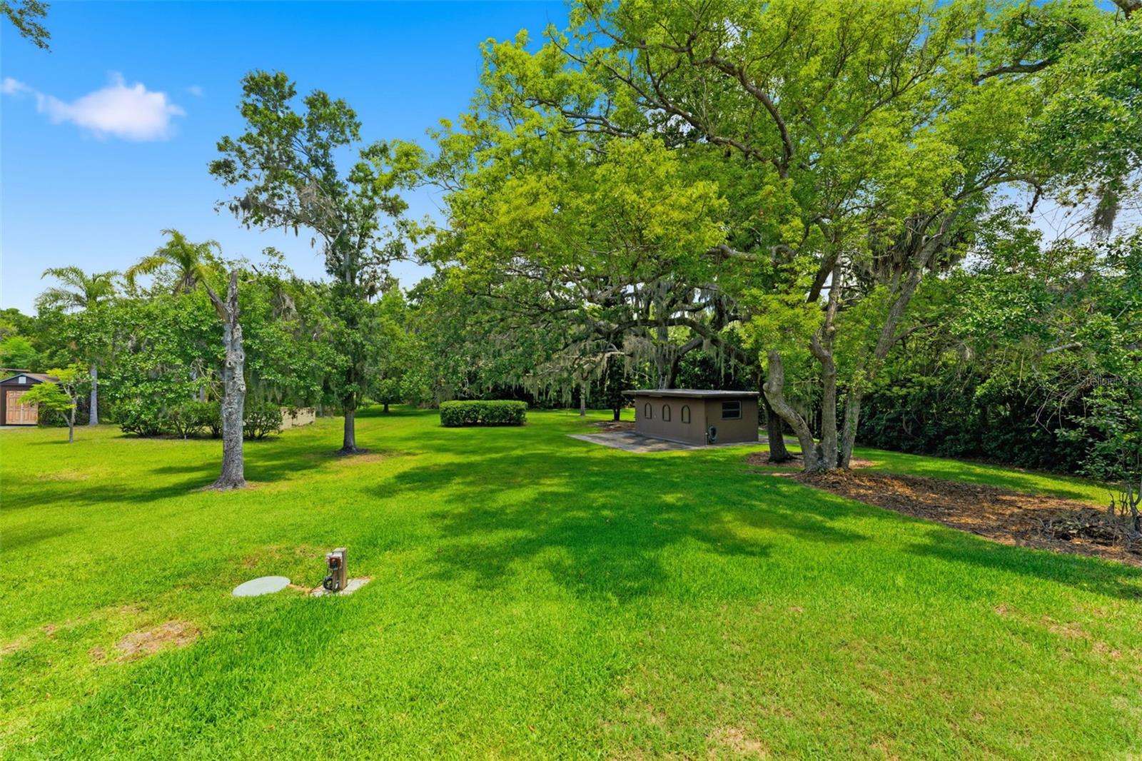 Parklike Setting on 1 Acre MOL