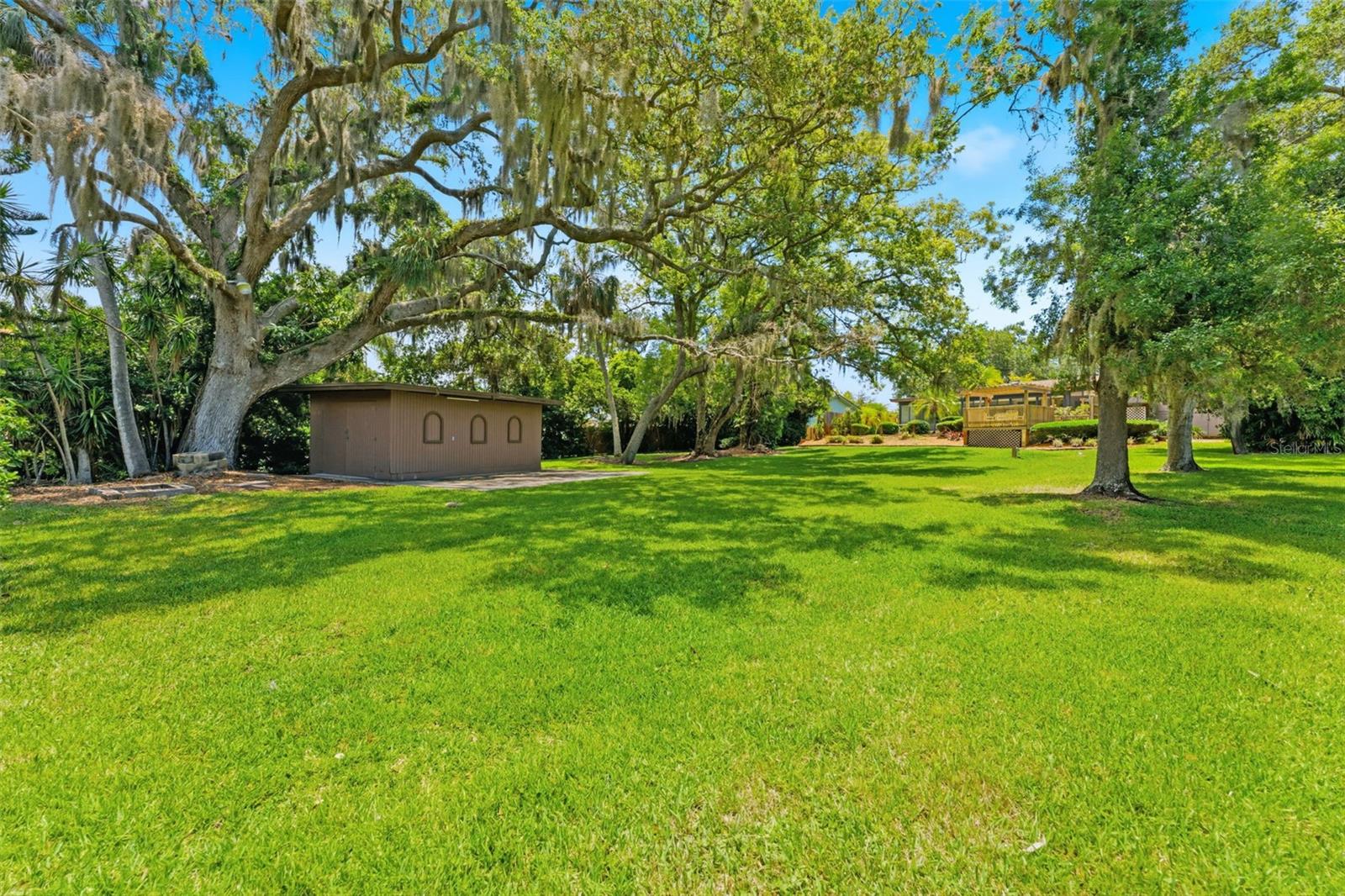 Oversized Backyard